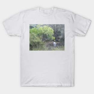 Wild Fennel T-Shirt